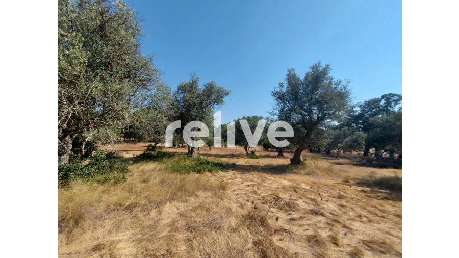 Terreno para Venda em Santa Maria do Castelo e Santiago e Santa Susana Foto 14