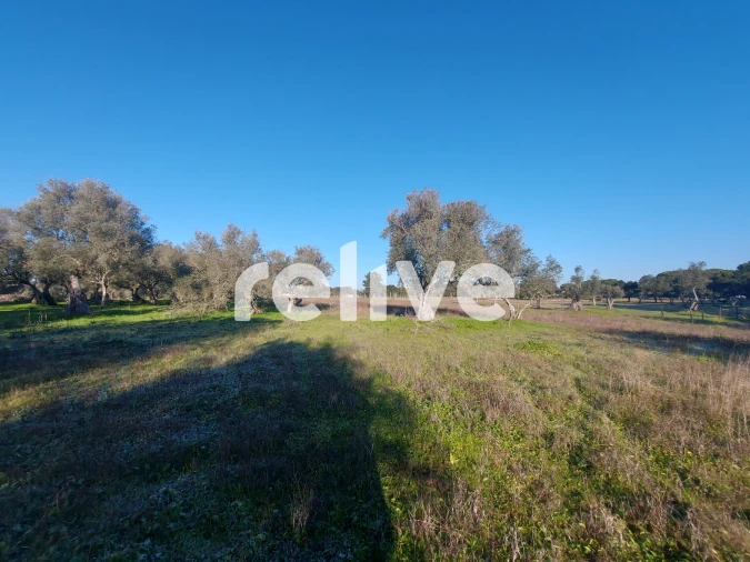 Terreno para Venda em Santa Maria do Castelo e Santiago e Santa Susana Foto 5