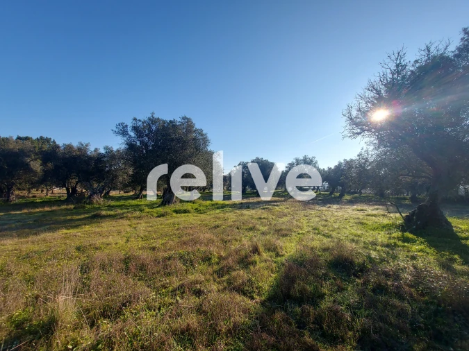 Terreno para Venda em Santa Maria do Castelo e Santiago e Santa Susana Foto 9