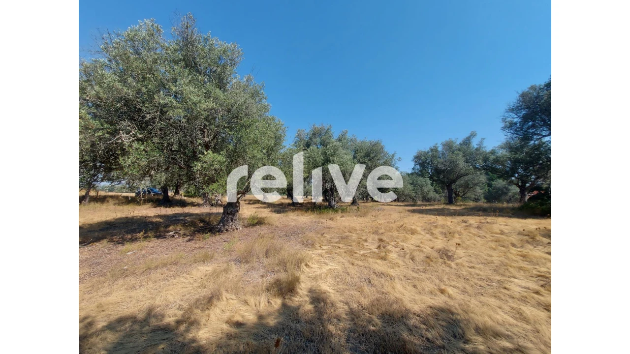 Terreno para Venda em Santa Maria do Castelo e Santiago e Santa Susana Foto 15