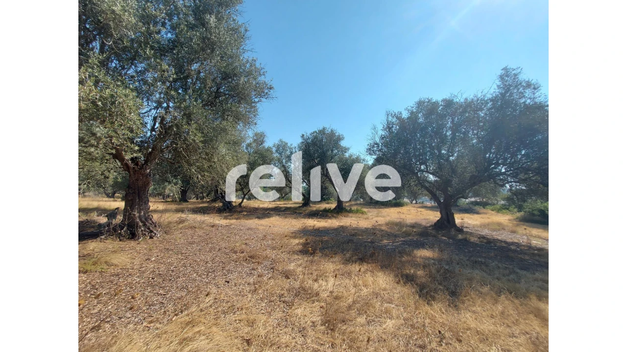 Terreno para Venda em Santa Maria do Castelo e Santiago e Santa Susana Foto 17