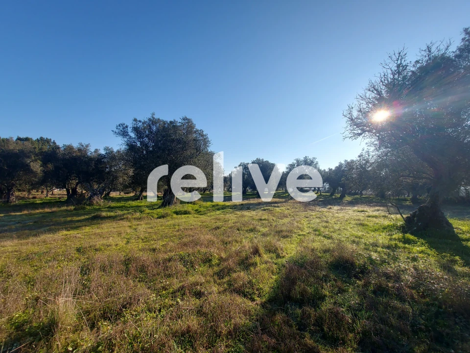 Terreno para Venda em Santa Maria do Castelo e Santiago e Santa Susana Foto 9