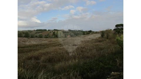 Terreno para Venda em Cartaxo e Vale da Pinta
