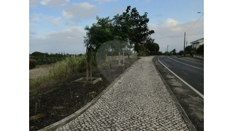 Terreno para Venda em Cartaxo e Vale da Pinta