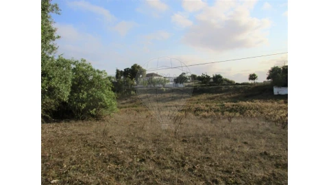 Terreno para Venda em Cartaxo e Vale da Pinta