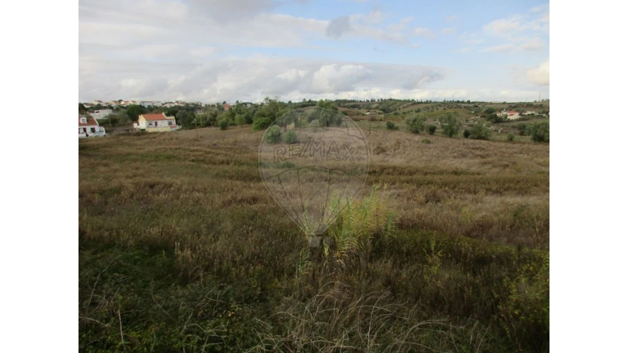 Terreno para Venda em Cartaxo e Vale da Pinta Foto 8