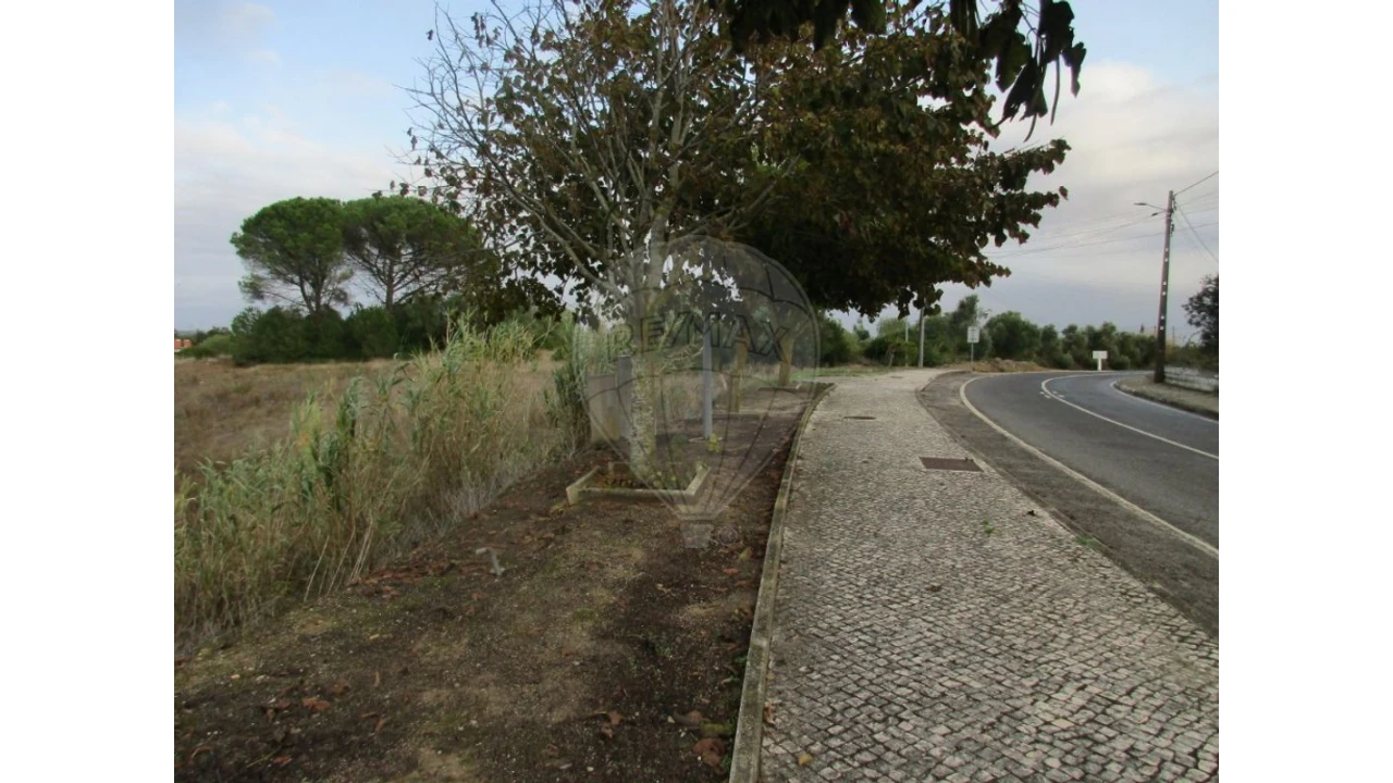 Terreno para Venda em Cartaxo e Vale da Pinta Foto 6