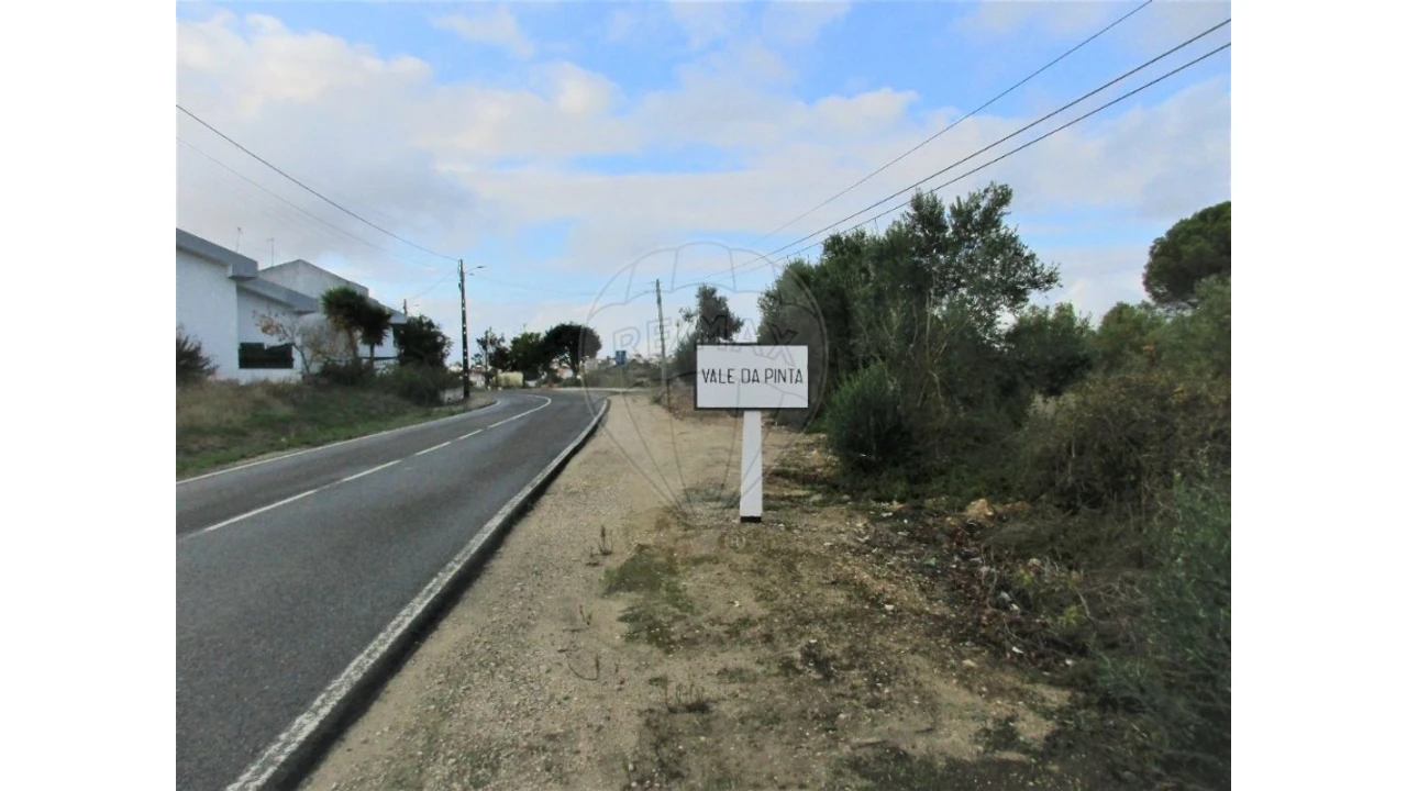 Terreno para Venda em Cartaxo e Vale da Pinta Foto 3