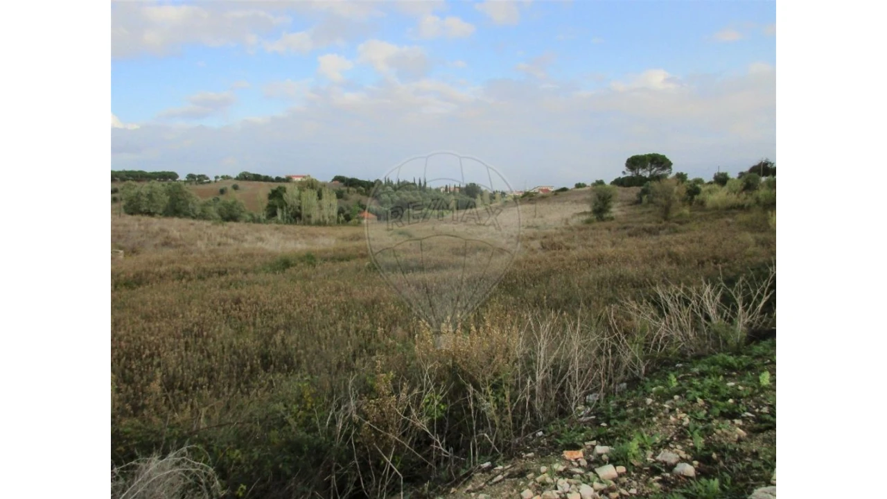 Terreno para Venda em Cartaxo e Vale da Pinta Foto 9