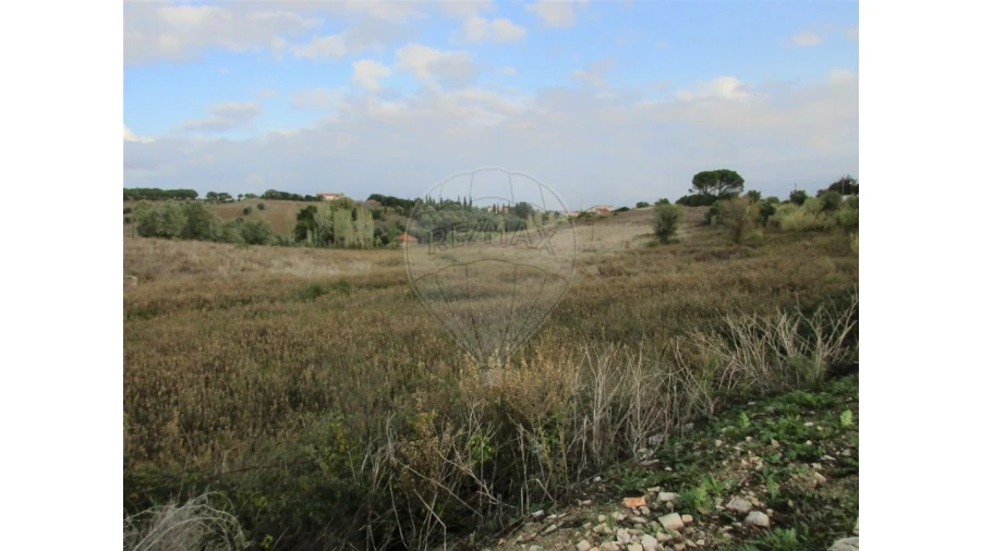 Terreno para Venda em Cartaxo e Vale da Pinta Foto 9