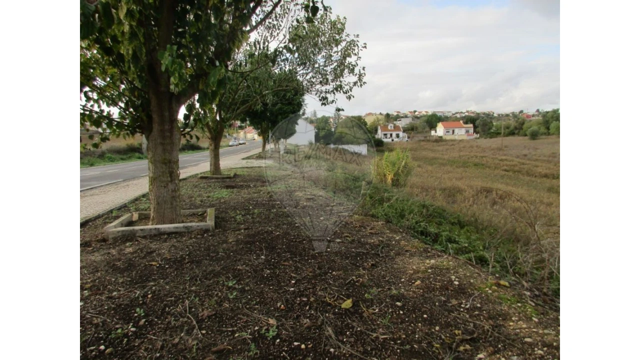 Terreno para Venda em Cartaxo e Vale da Pinta Foto 1