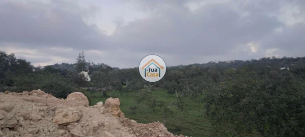 Terreno para Venda em Loule (São Clemente)