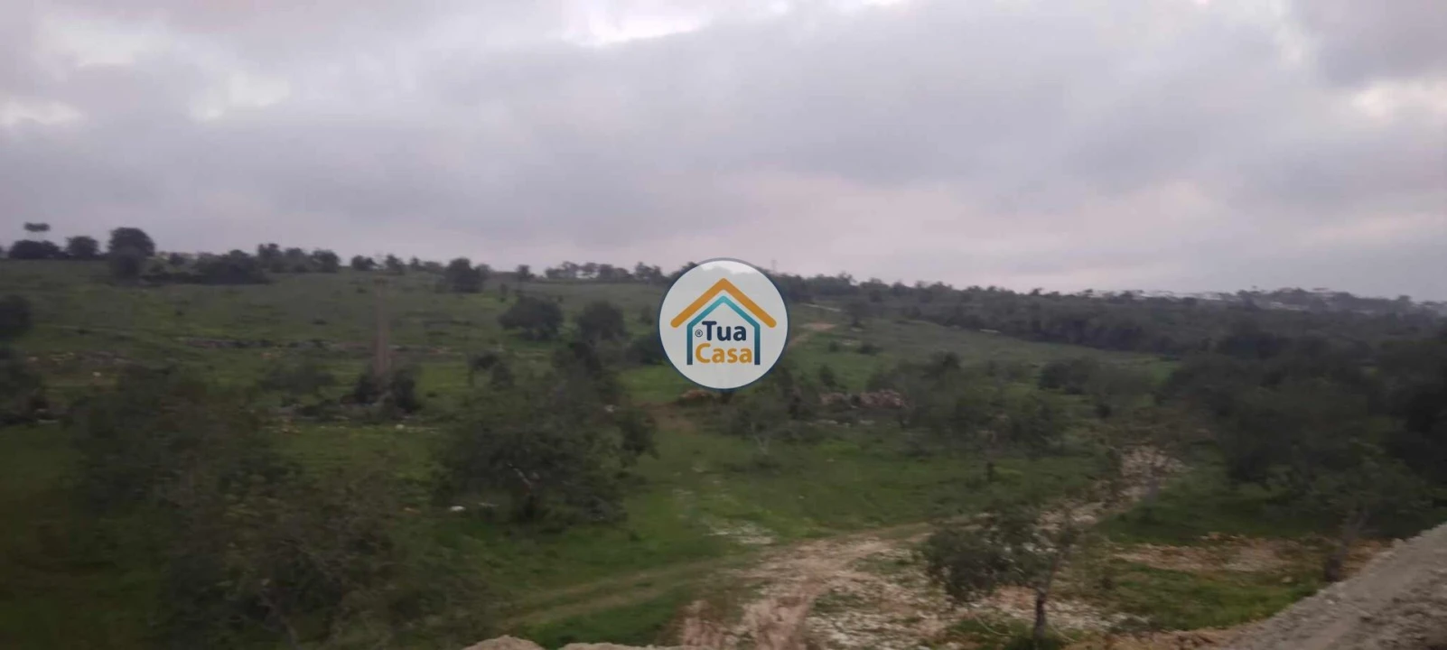 Terreno para Venda em Loule (São Clemente) Foto 6