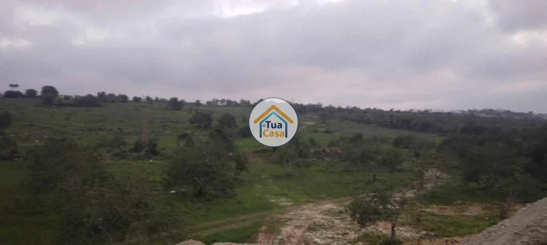 Terreno para Venda em Loule (São Clemente) Foto 6