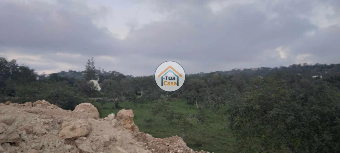Terreno para Venda em Loule (São Clemente) Foto 2