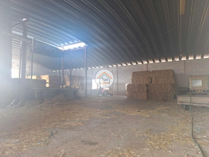 Terreno para Venda em Garvão e Santa Luzia Foto 8