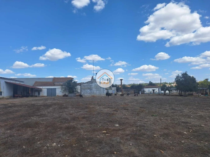 Terreno para Venda em Garvão e Santa Luzia Foto 4