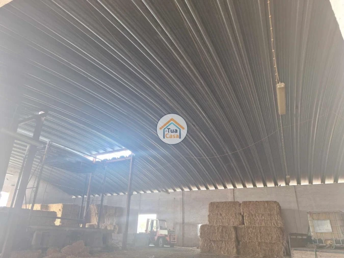 Terreno para Venda em Garvão e Santa Luzia Foto 11