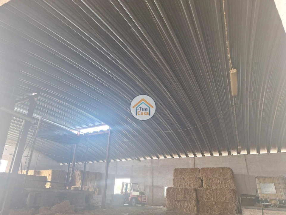 Terreno para Venda em Garvão e Santa Luzia Foto 11