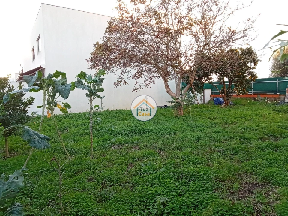 Terreno para Venda em São Bernardo Foto 6