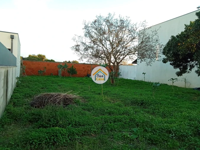 Terreno para Venda em São Bernardo Foto 10