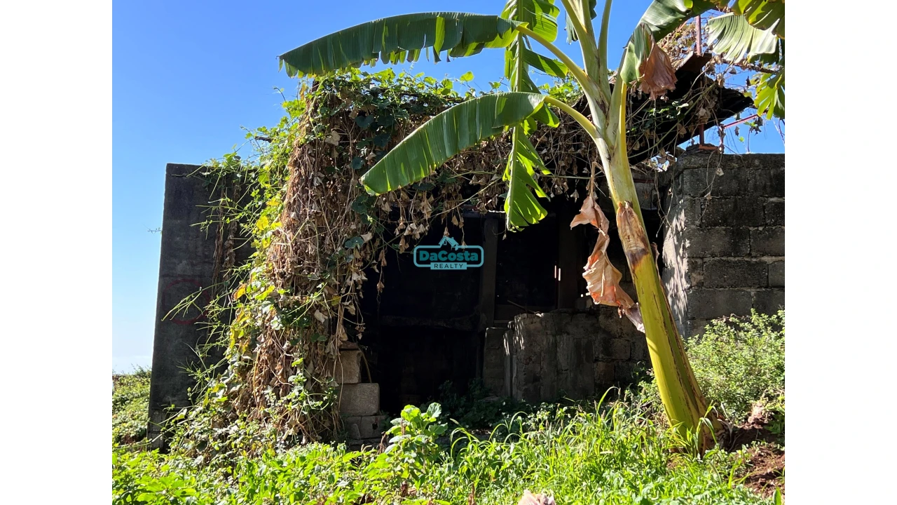 Moradia T2 para Venda em Campanario Foto 30