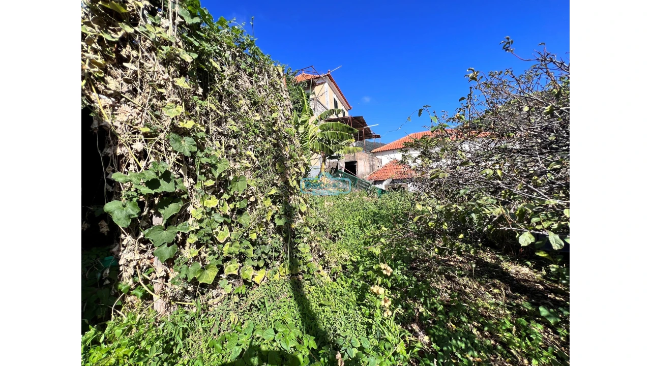 Moradia T2 para Venda em Campanario Foto 36