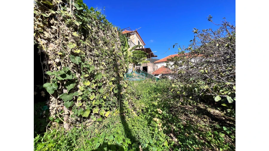 Moradia T2 para Venda em Campanario Foto 36