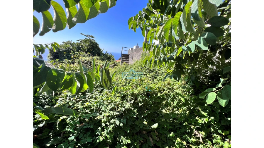 Moradia T2 para Venda em Campanario Foto 19