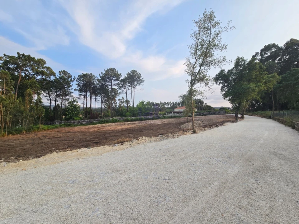 Terreno para Venda em Forjães Foto 10