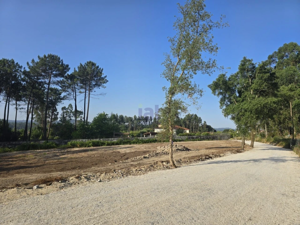 Terreno para Venda em Forjães Foto 9