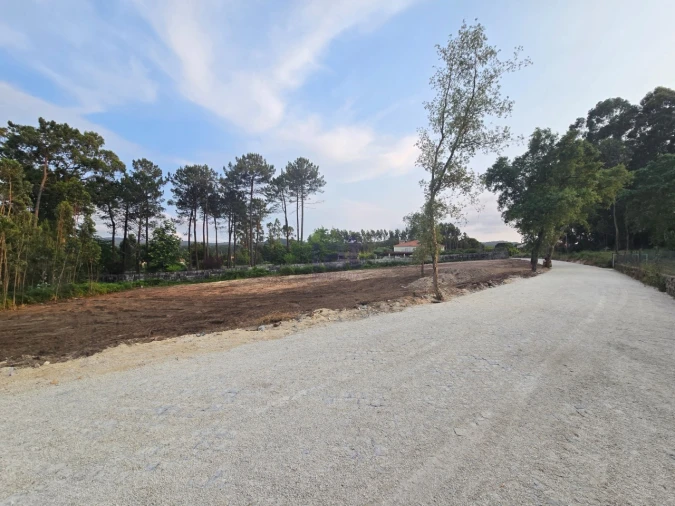 Terreno para Venda em Forjães Foto 10