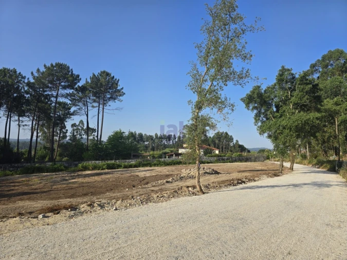 Terreno para Venda em Forjães Foto 9