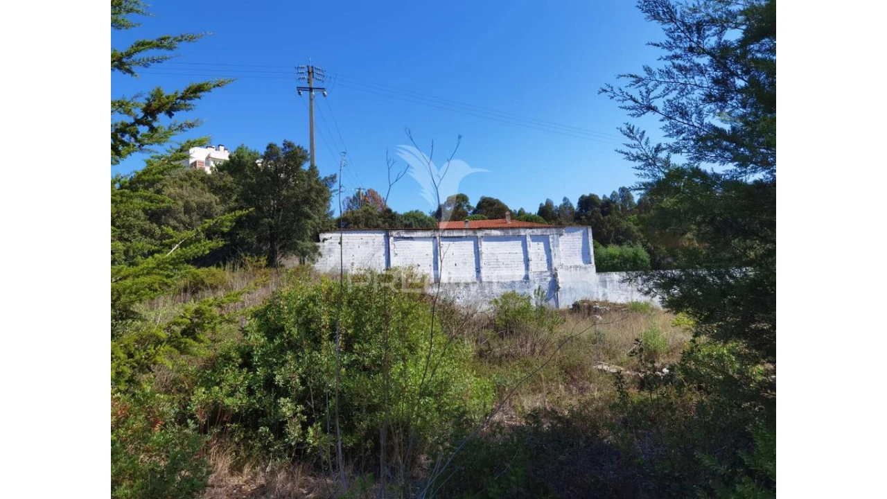 Terreno para Venda em Minde Foto 16