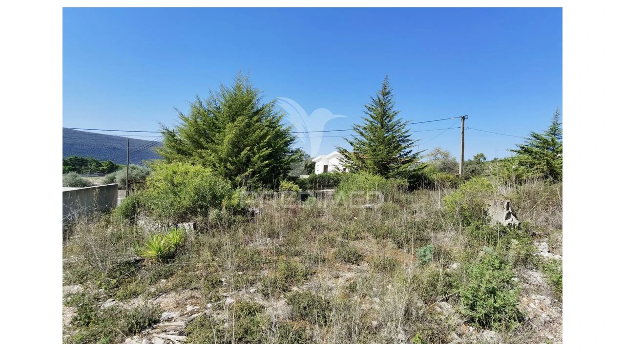 Terreno para Venda em Minde Foto 6