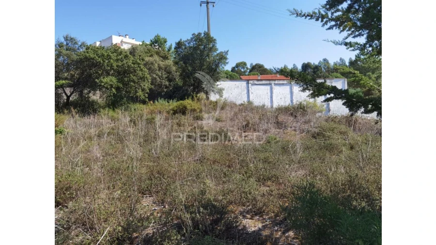 Terreno para Venda em Minde Foto 17