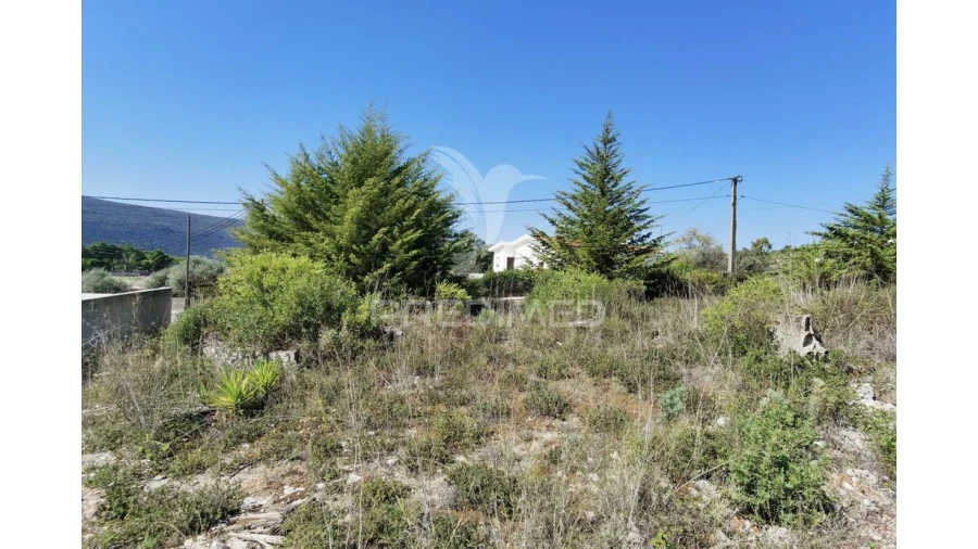 Terreno para Venda em Minde Foto 6