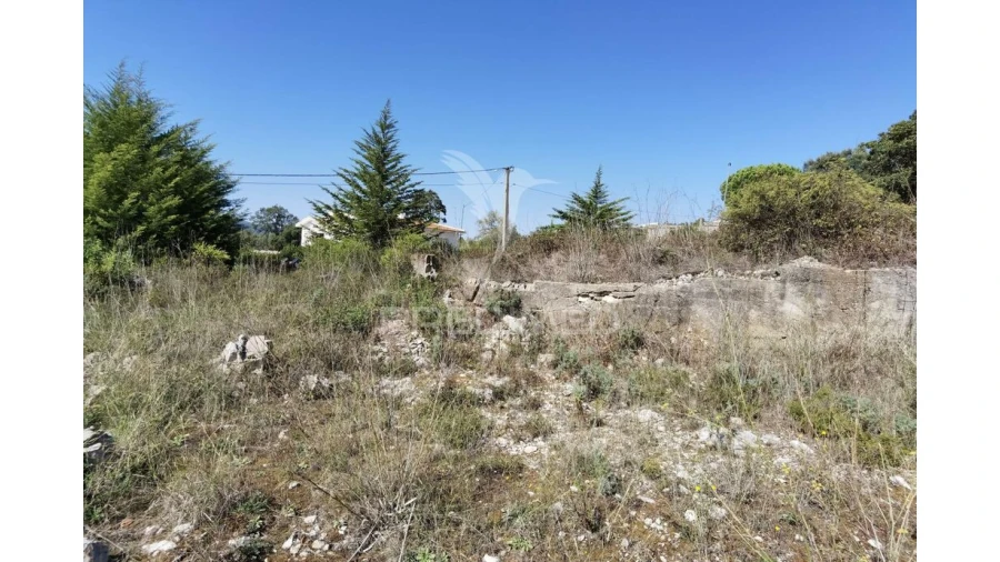 Terreno para Venda em Minde Foto 5