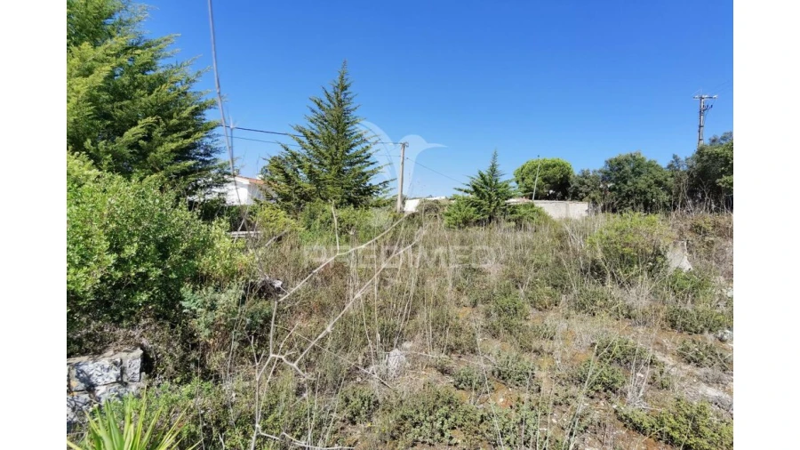 Terreno para Venda em Minde Foto 7