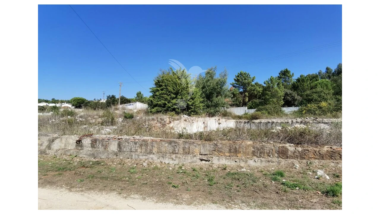 Terreno para Venda em Minde Foto 13