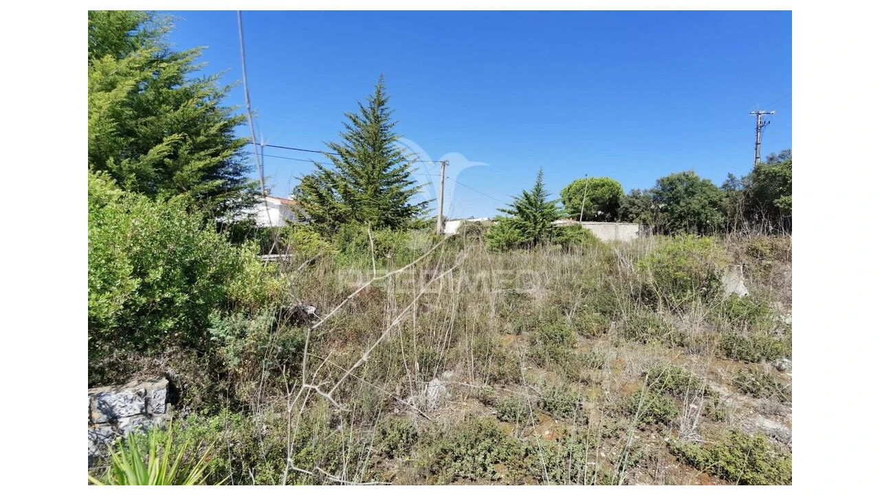 Terreno para Venda em Minde Foto 7