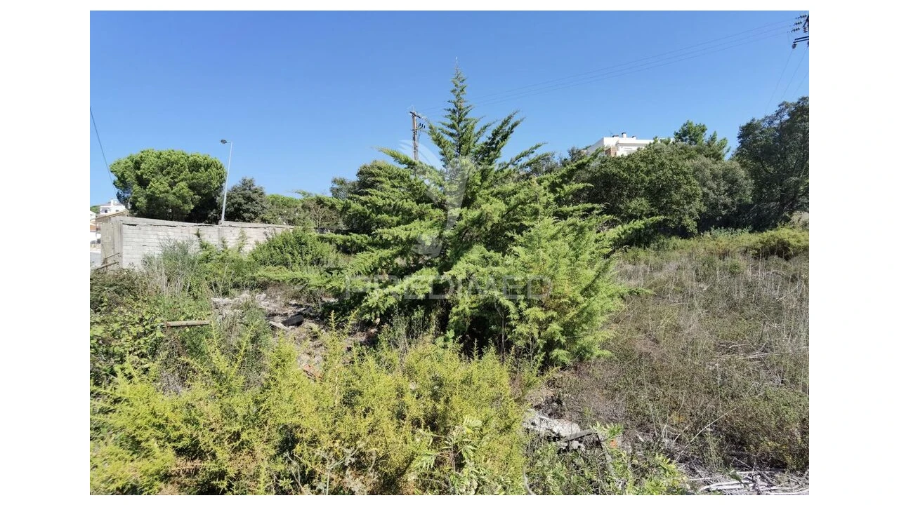 Terreno para Venda em Minde Foto 19