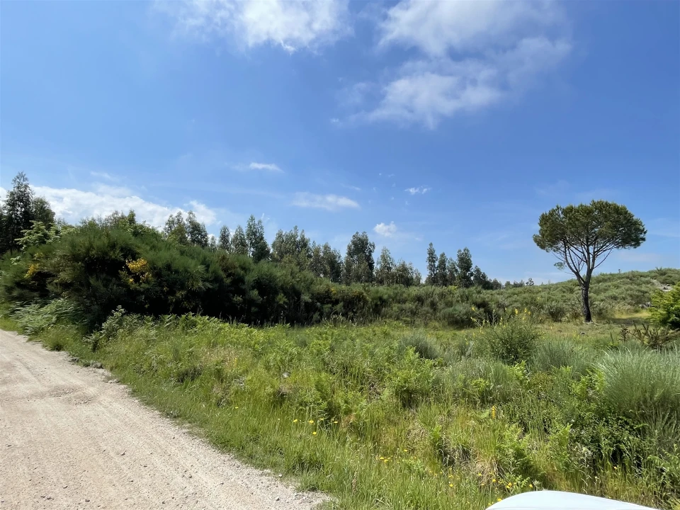 Terreno para Venda em Pinhanços Foto 8
