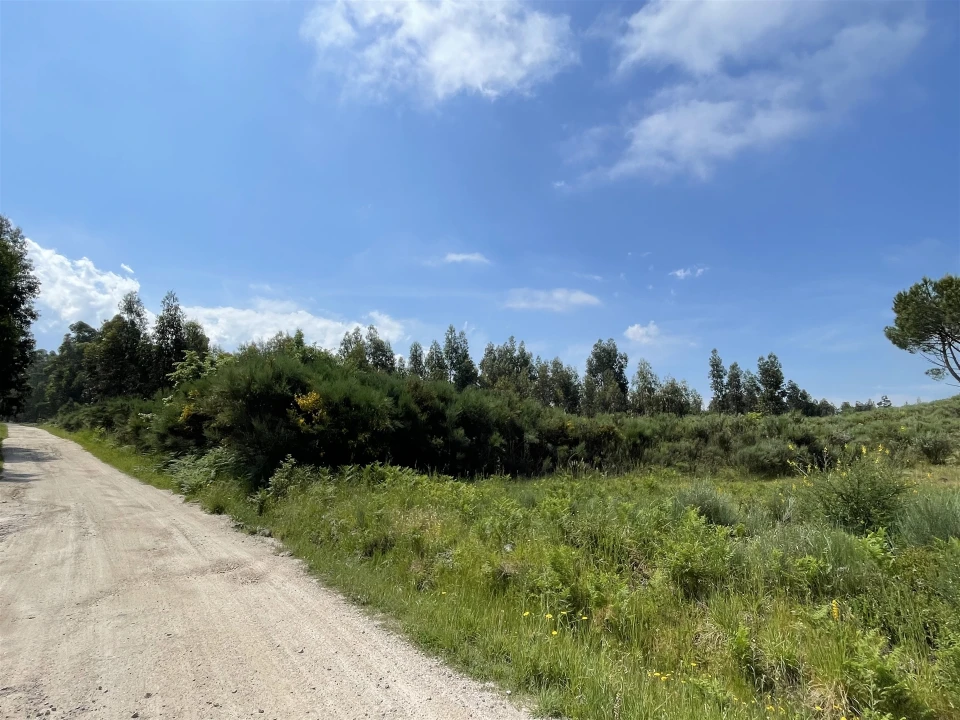 Terreno para Venda em Pinhanços Foto 12