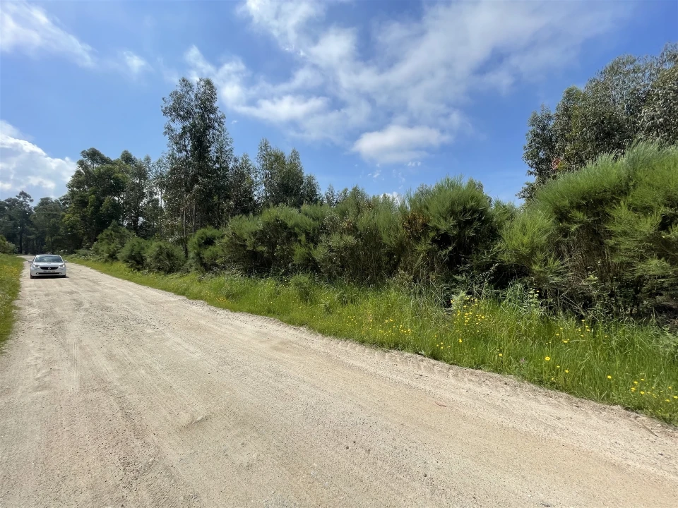 Terreno para Venda em Pinhanços Foto 11