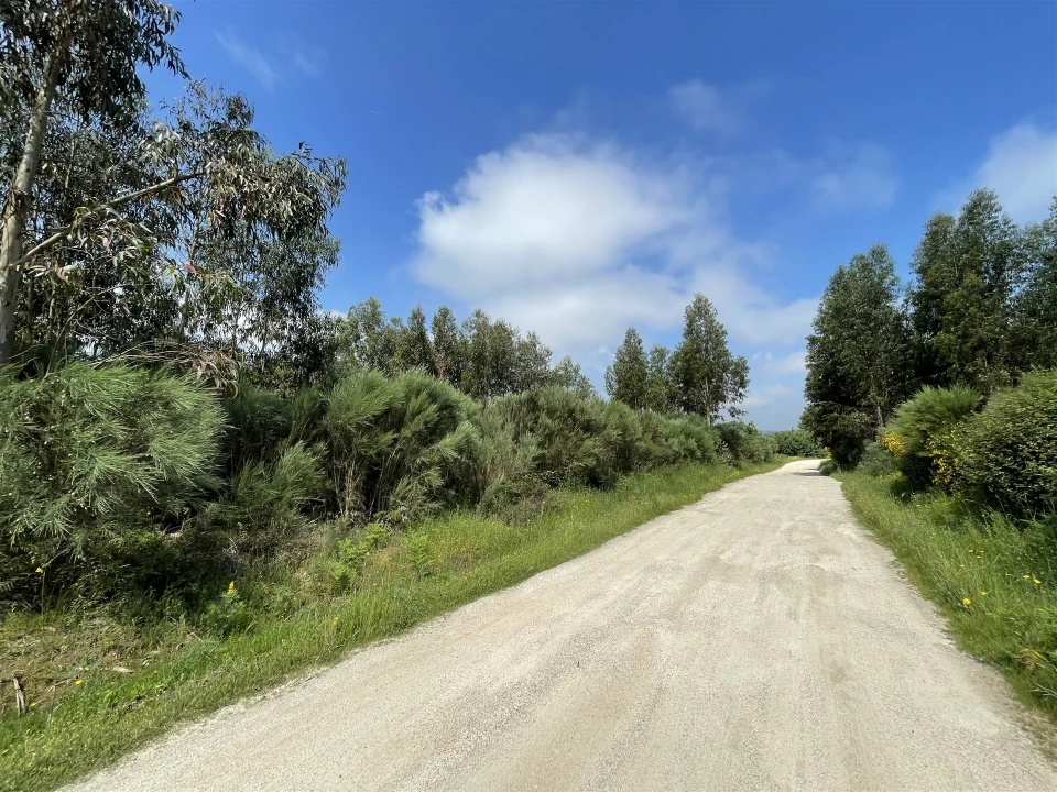 Terreno para Venda em Pinhanços Foto 6