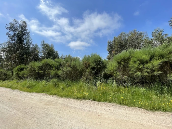 Terreno para Venda em Pinhanços Foto 9