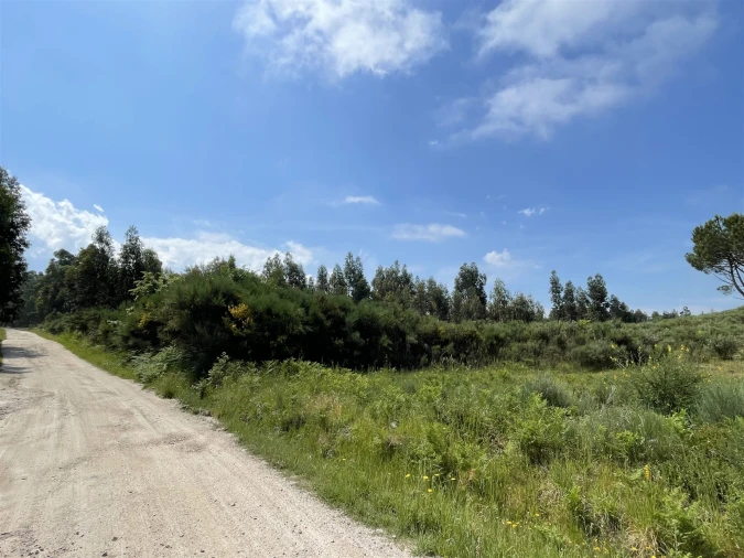 Terreno para Venda em Pinhanços Foto 12