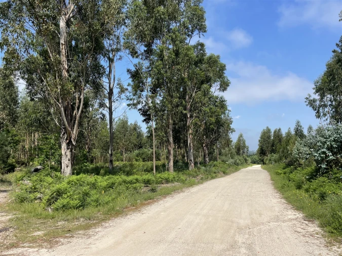 Terreno para Venda em Pinhanços Foto 4