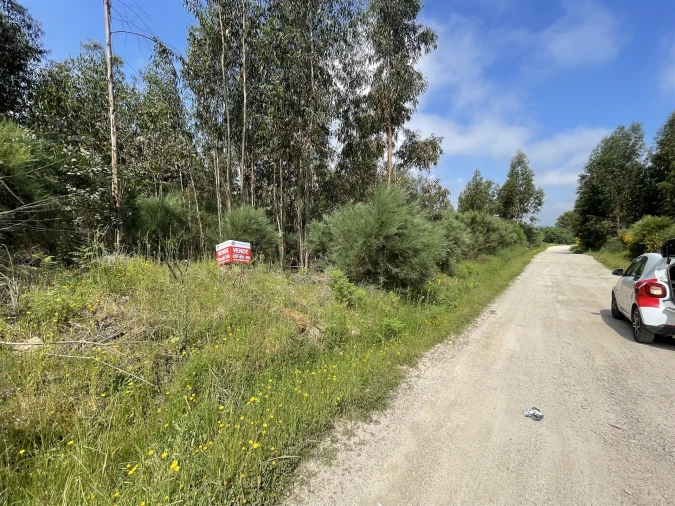 Terreno para Venda em Pinhanços Foto 3